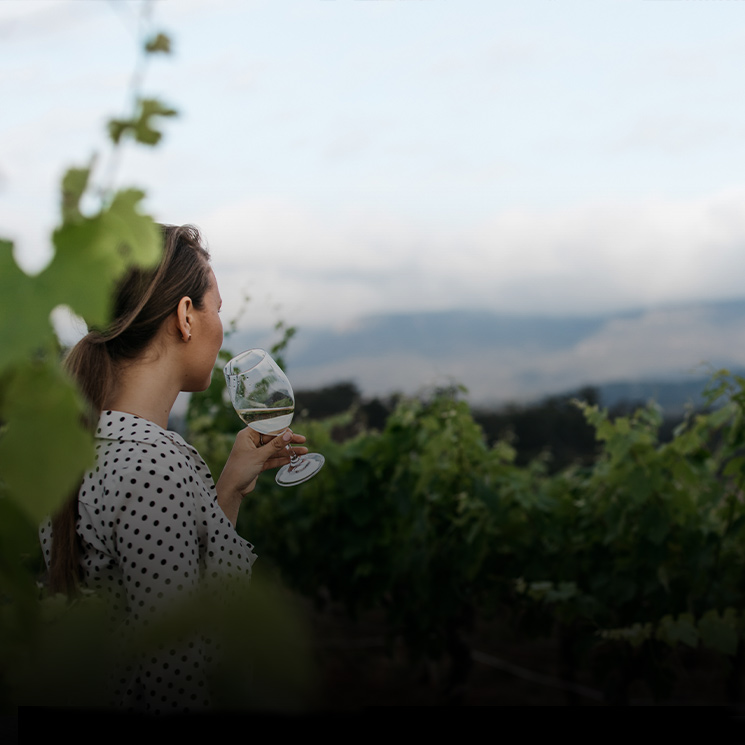 Woman in a black and white polka dot shirt standing in a vineyard holding a glass of white wine