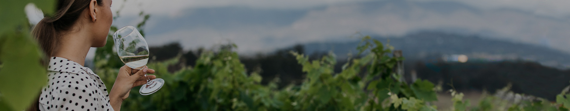 australian wine reagion banner - girl drinking wine in the vineyard