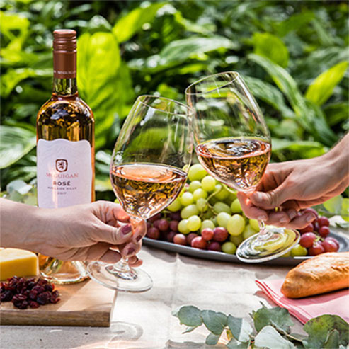 Bottle and two glasses of McGuigan rose in a garden with red and white grapes