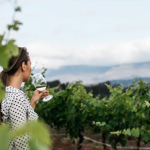 Girl in polka dot shirt drinking white wine varietal within a vineyard