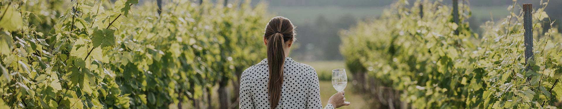 girl holding wine at the hunter valley vineyard