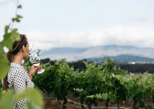 lady drinking white wine in the vineyard