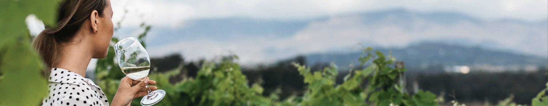 Woman in a black and white polka dot shirt drinking a glass of white wine in a vineyard